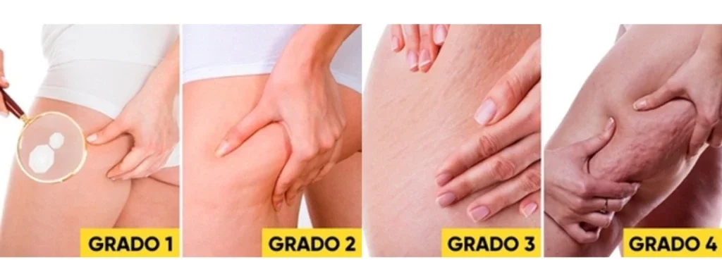 ¿Qué es la P.E.F.E.? 3 ¿QUE ES LA P.E.F.E?